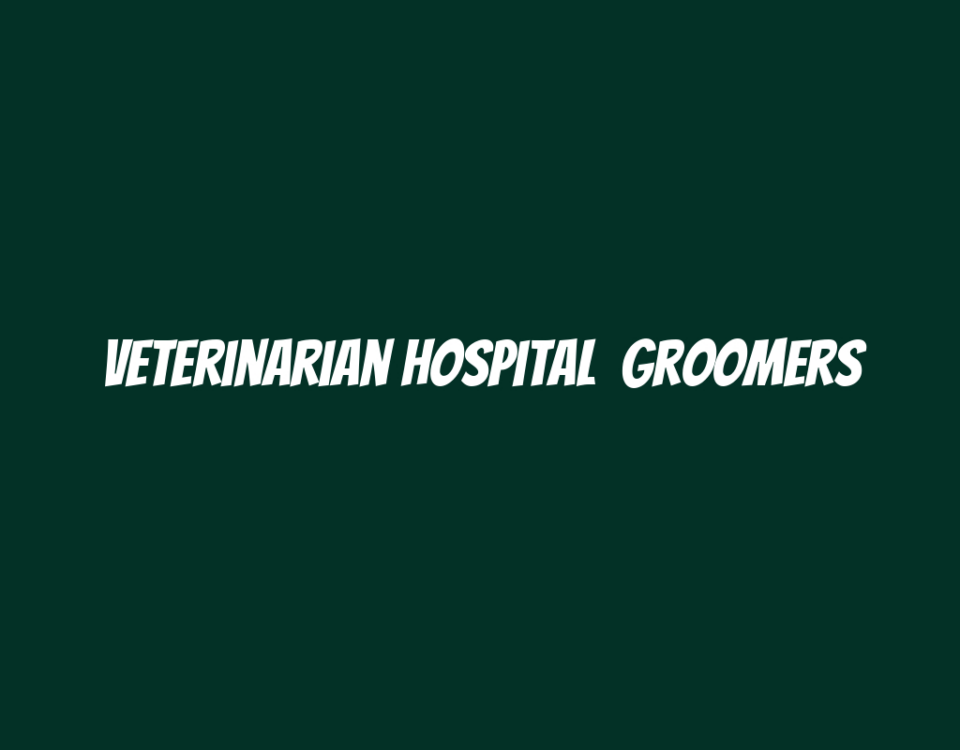 Veterinarian Hospital  Groomers