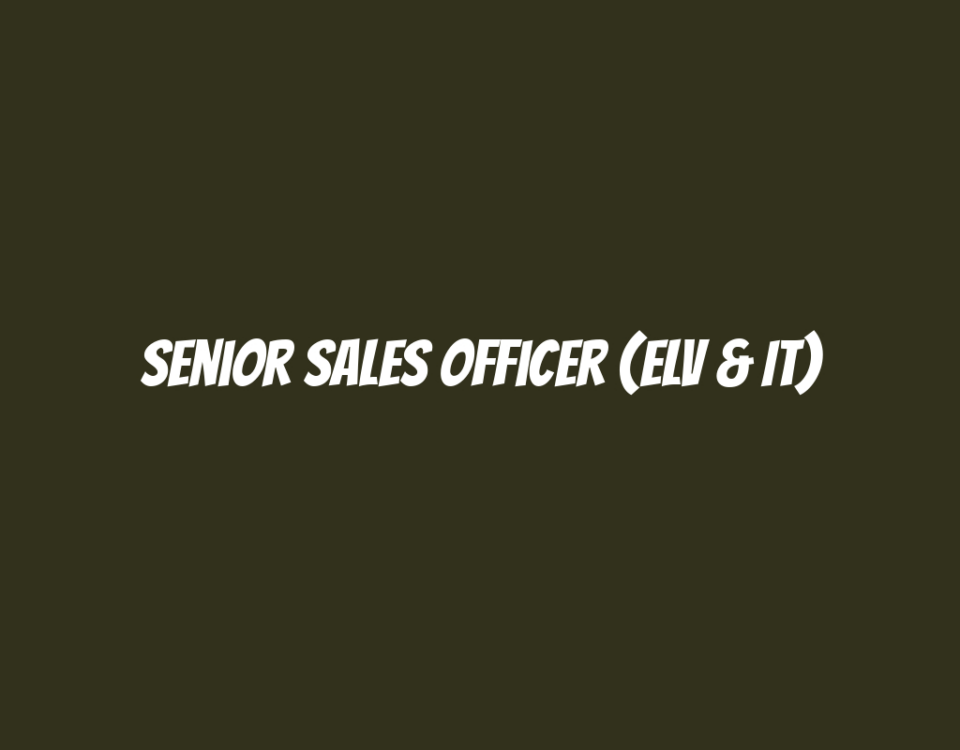 Senior Sales Officer (ELV & IT)