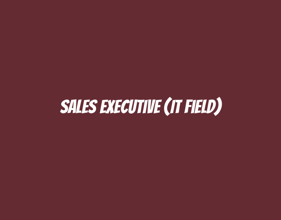 Sales Executive (IT Field)