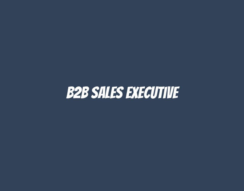 B2B Sales Executive