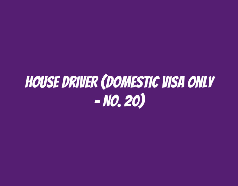 House Driver (Domestic Visa Only - No. 20)