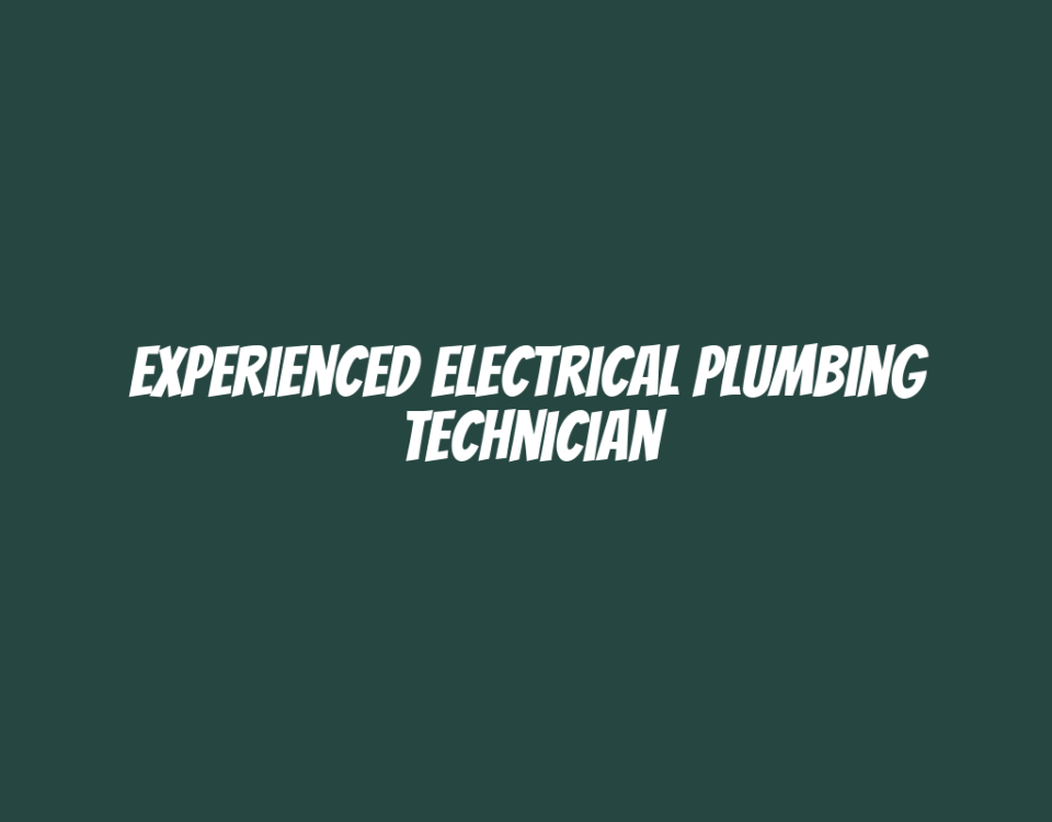 Experienced Electrical Plumbing Technician