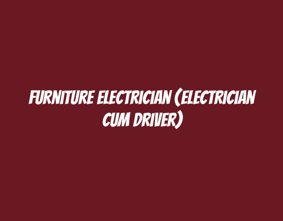 Furniture Electrician (Electrician cum Driver)