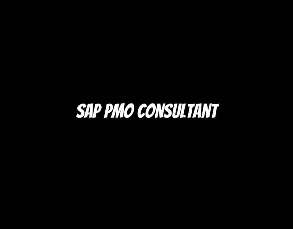 SAP PMO Consultant