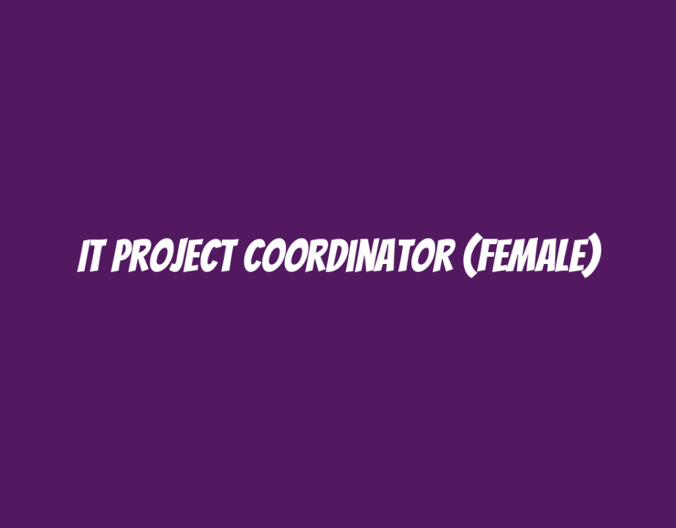 IT Project Coordinator (Female)