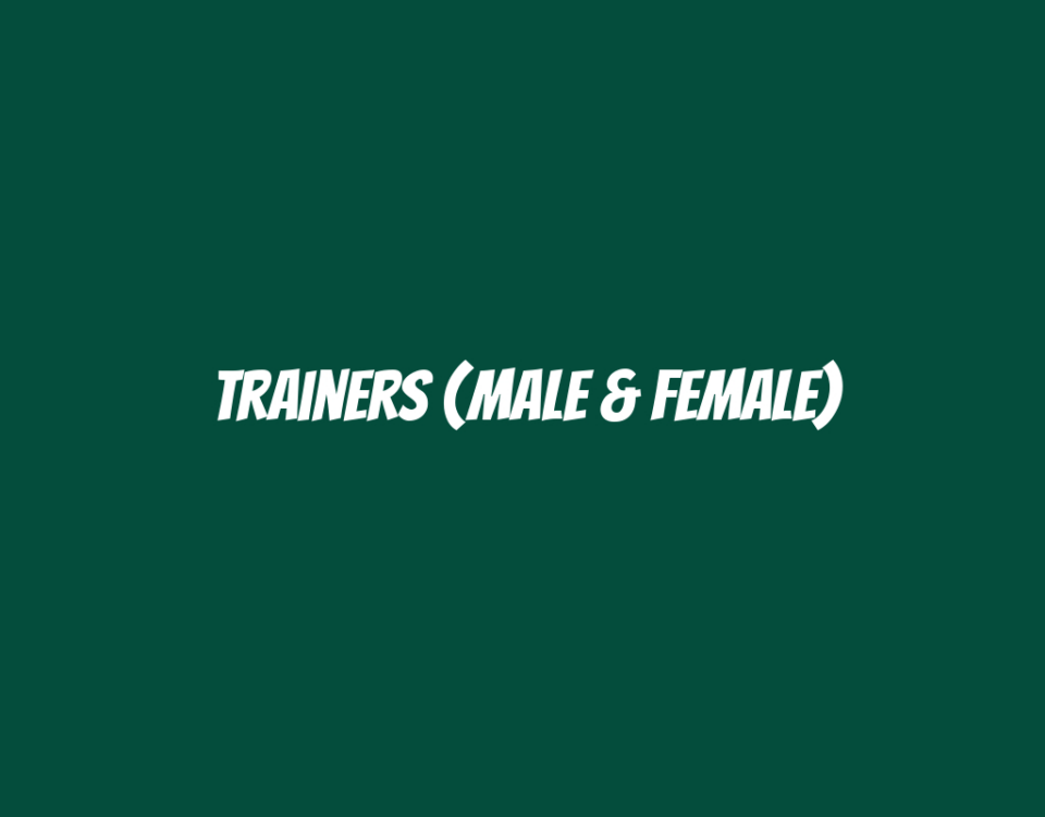 Trainers (Male & Female)