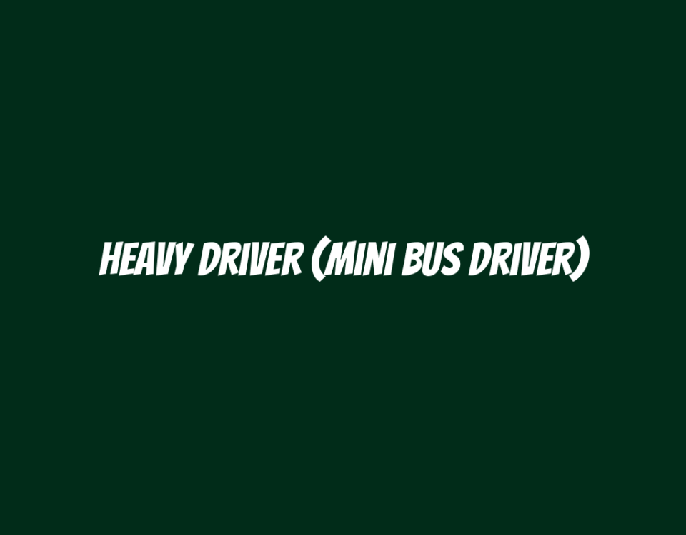 Heavy Driver (Mini Bus Driver)