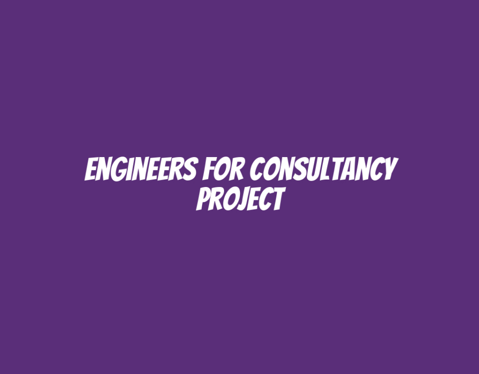 Engineers for Consultancy Project