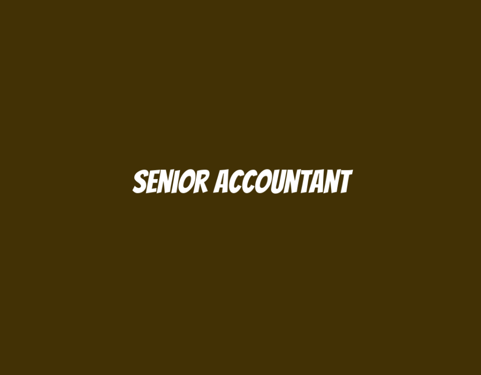 Senior Accountant