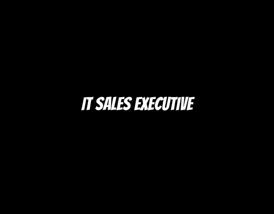 IT Sales Executive