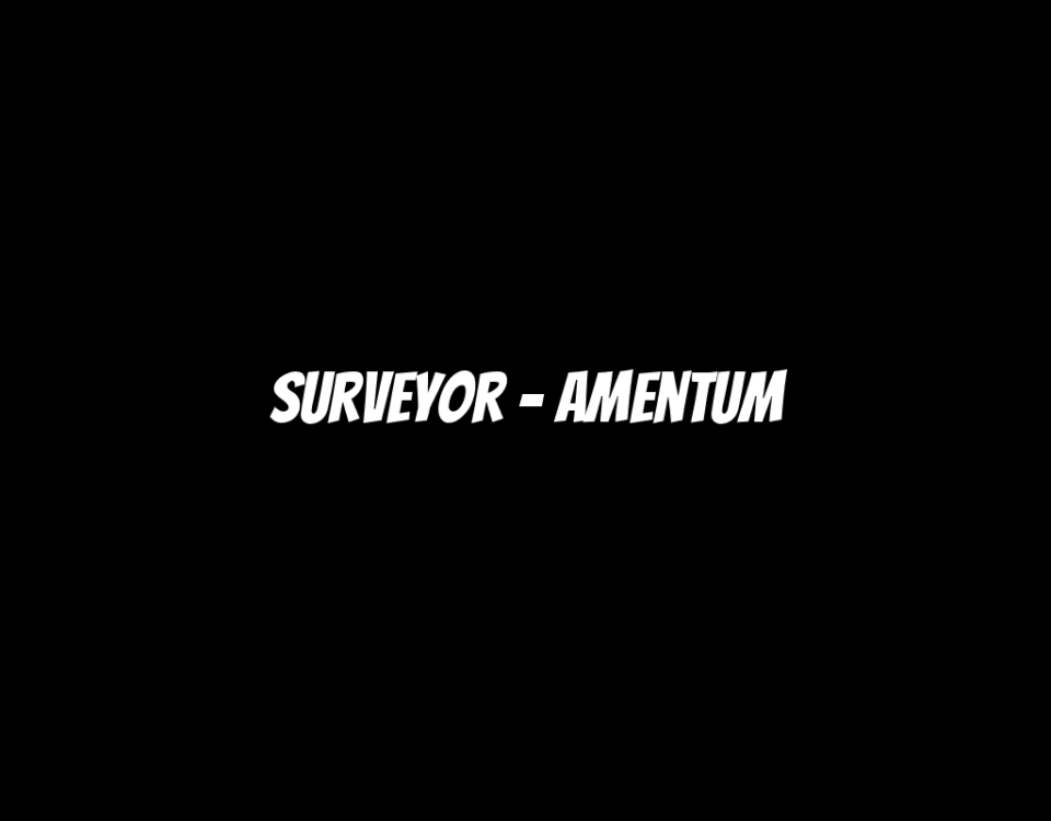 Surveyor - Amentum