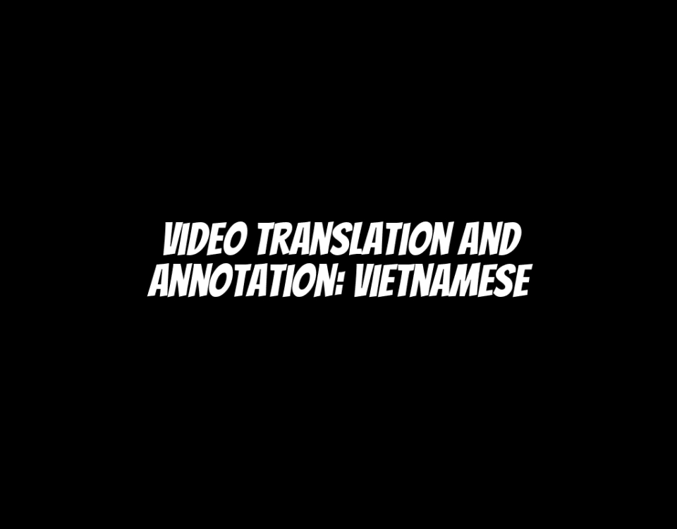 Video Translation and Annotation: Vietnamese