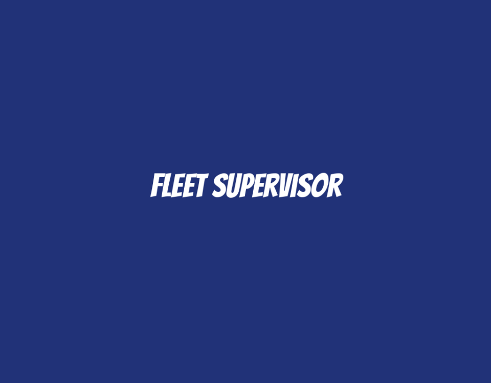 Fleet Supervisor