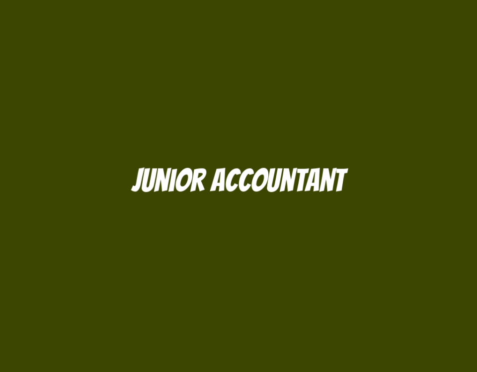 Junior Accountant