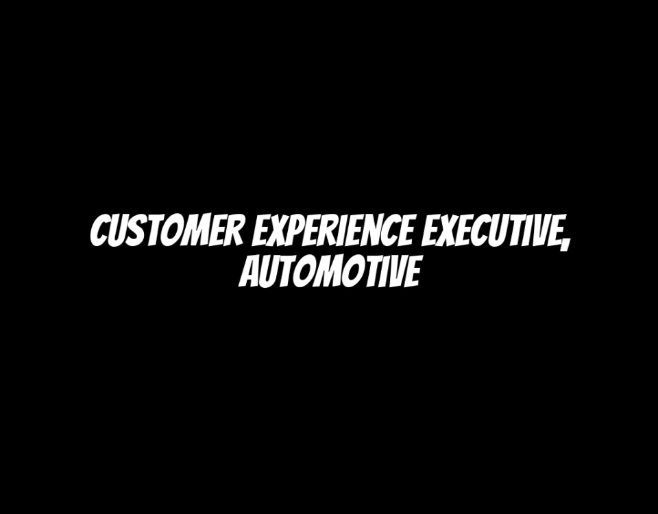 Customer Experience Executive, Automotive