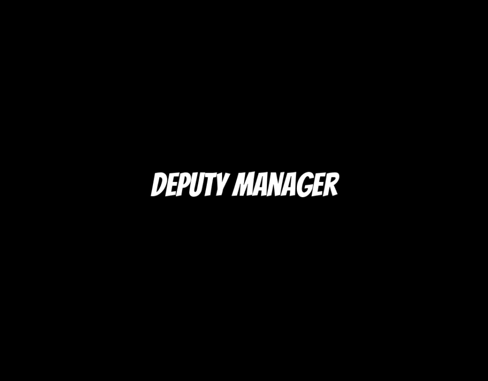 Deputy Manager