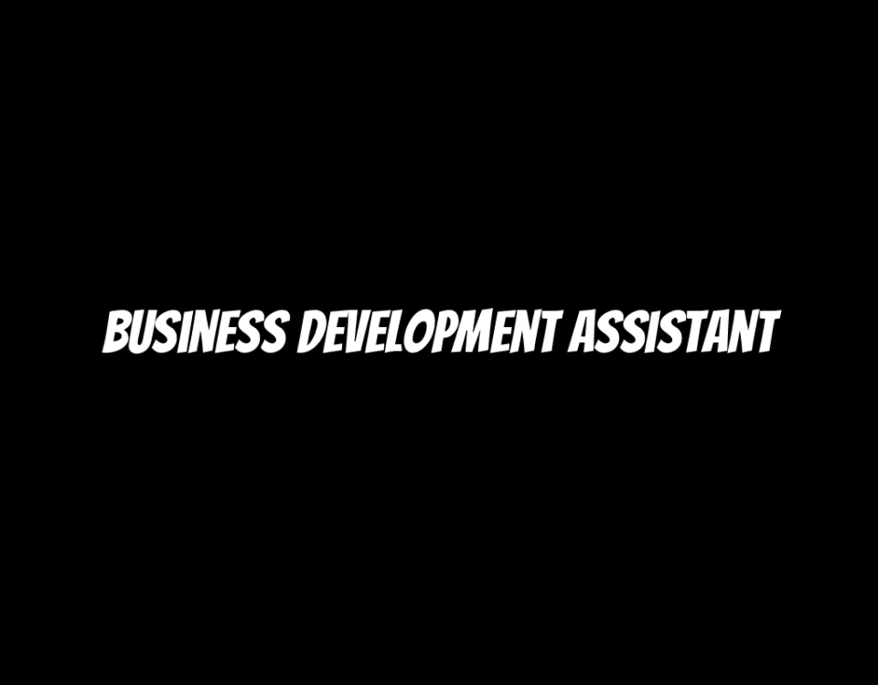 Business Development Assistant