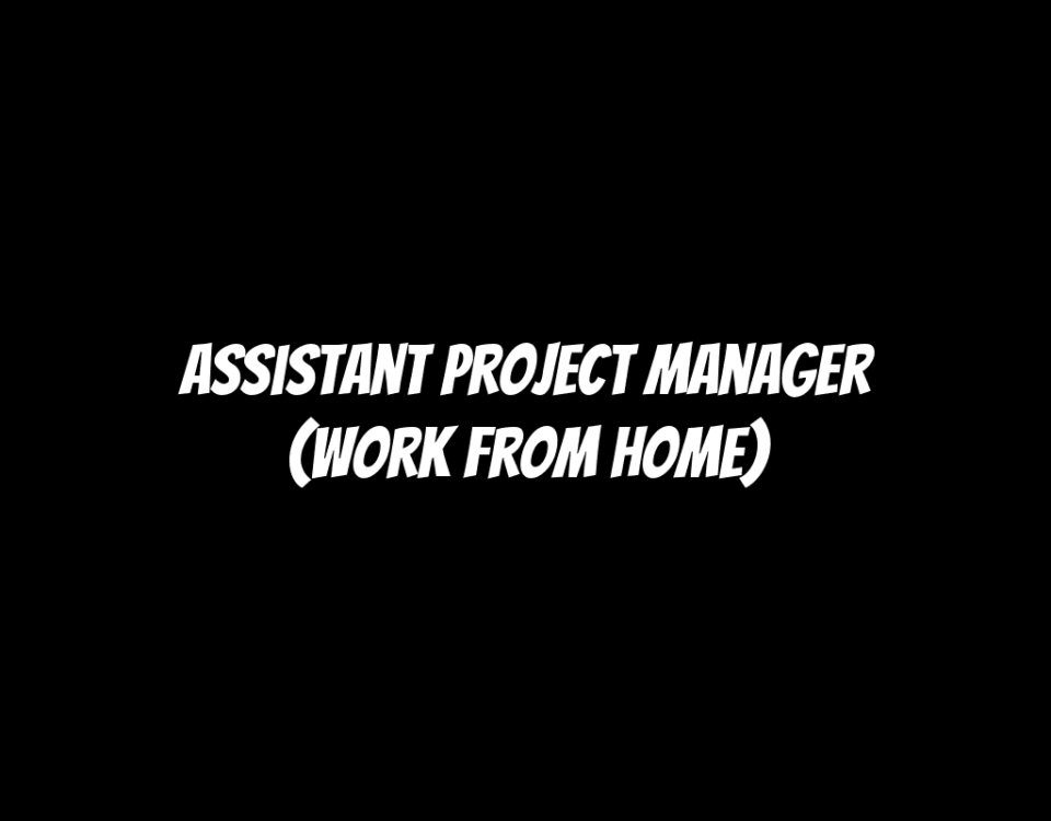 Assistant Project Manager (Work From Home)