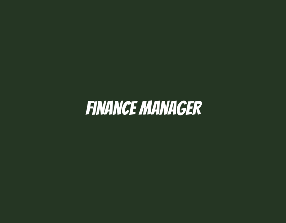 Finance Manager