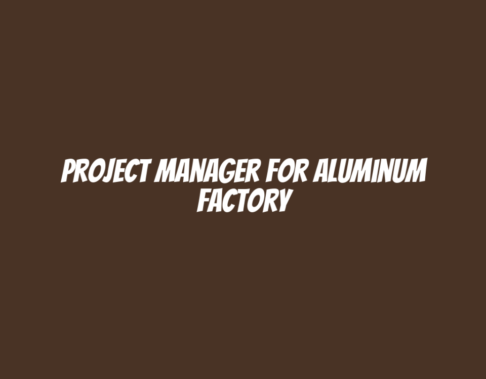 Project Manager for Aluminum Factory