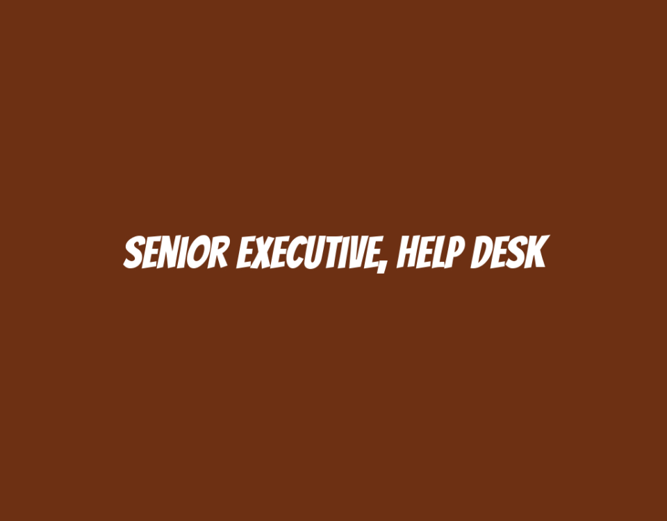 Senior Executive, Help Desk