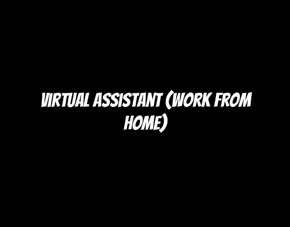 Virtual Assistant (Work From Home)