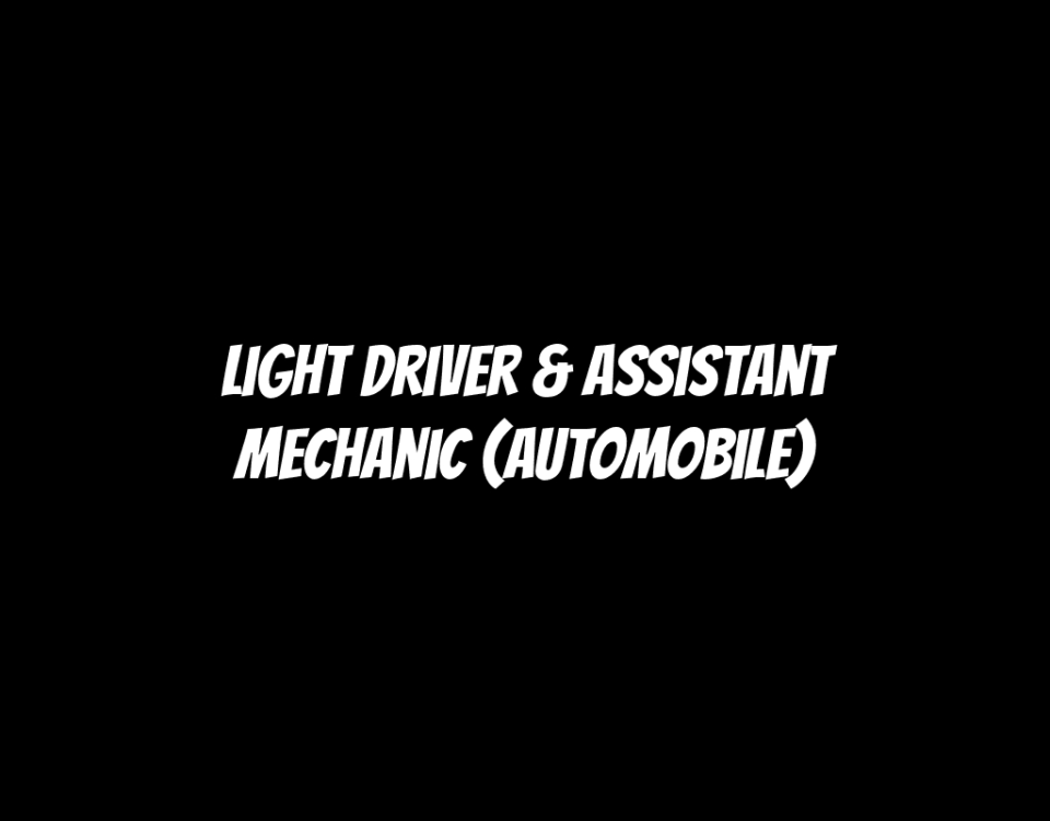 Light Driver & Assistant Mechanic (Automobile)