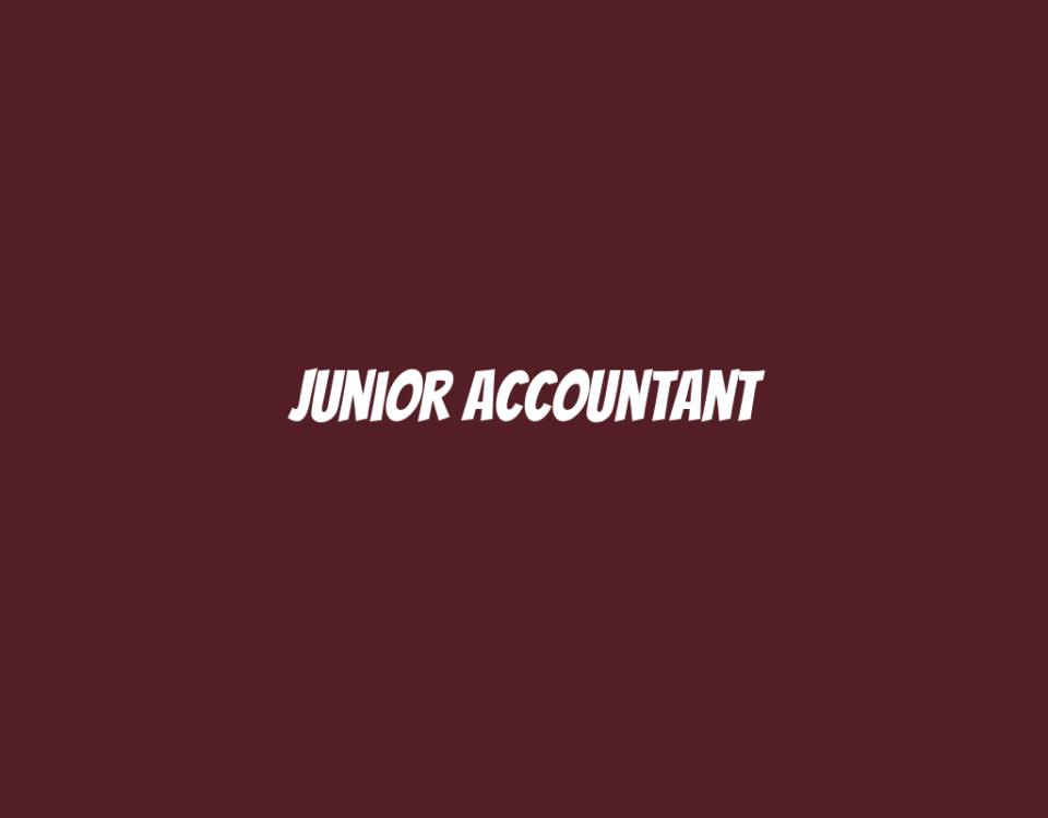 Junior Accountant