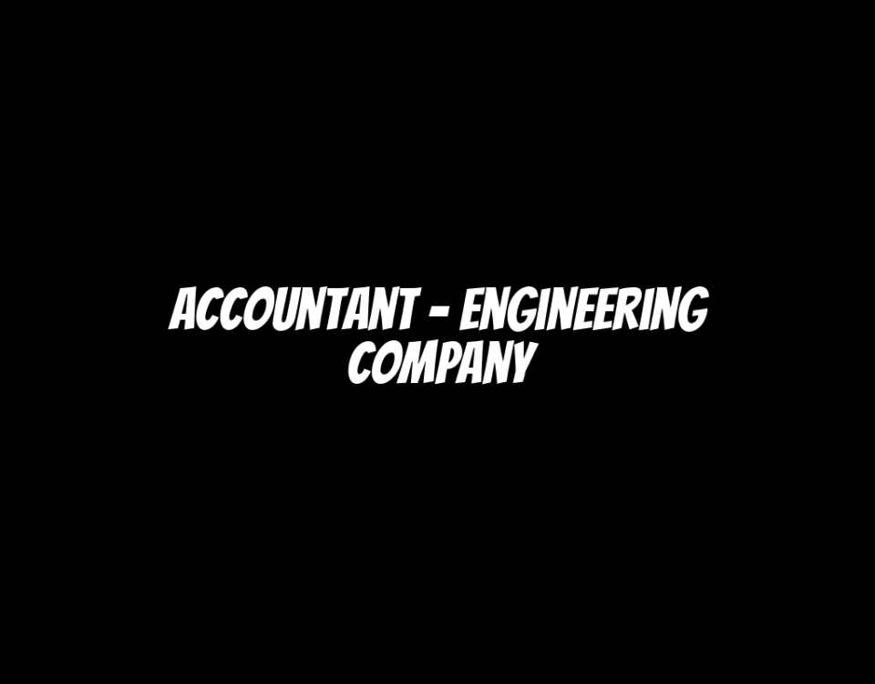 Accountant - Engineering Company