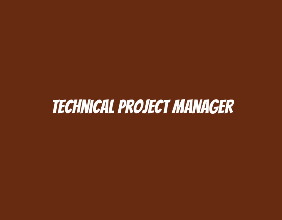 Technical Project Manager