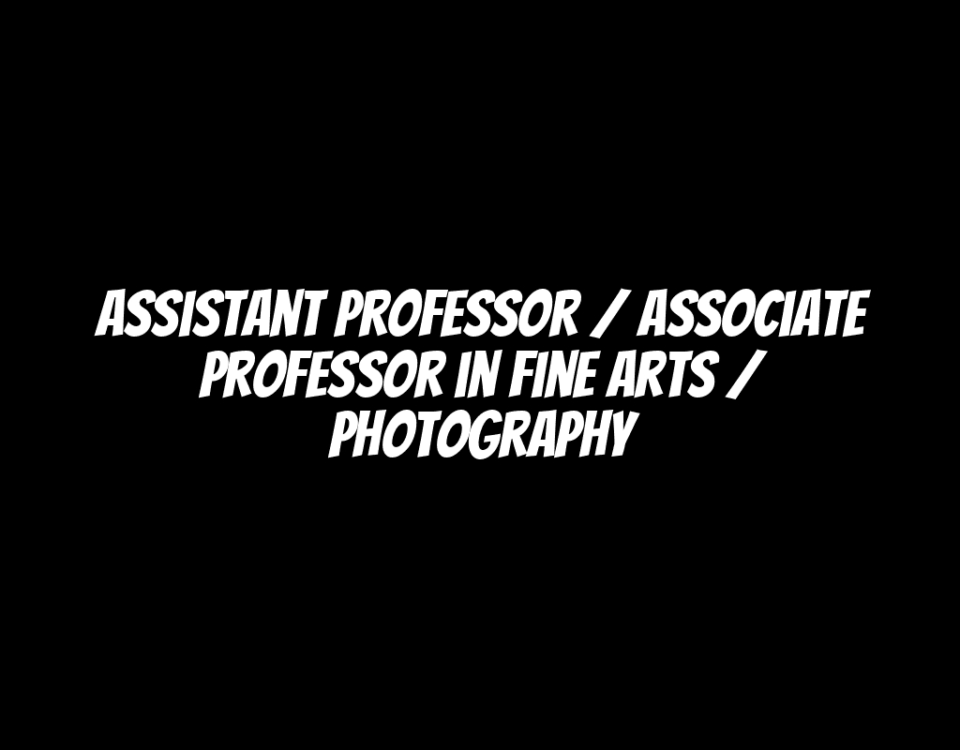 Assistant Professor / Associate Professor in Fine Arts / Photography