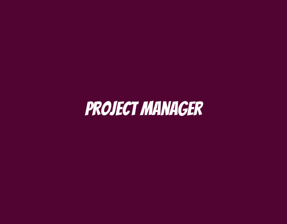 Project Manager